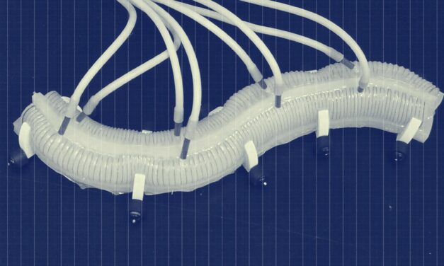 MIT Developed SoftZoo an Open Source Wildlife Simulator