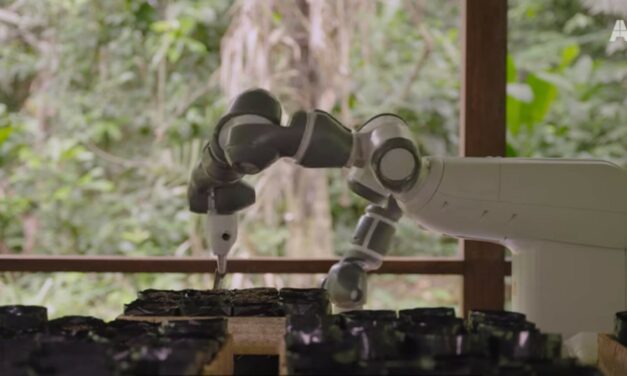 Reforestation Made Faster and More Efficient Through Cloud Technology