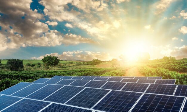 Harnessing the Power of Robotics: Revolutionizing the Management of Surrounding Landscapes in Solar Farms
