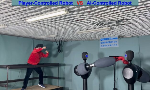 Life Size Rock ‘Em Sock ‘Em Robots