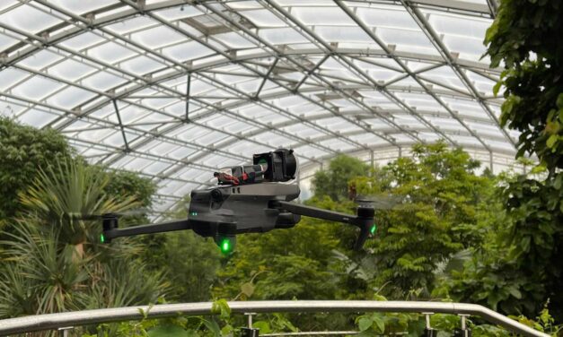 Autonomous Drones to Enhance Rainforest Biodiversity Assessment