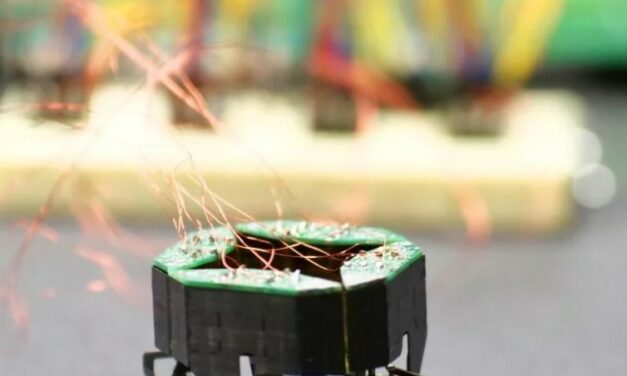 CLARI: A Shape-Shifting Robot Inspired by Nature