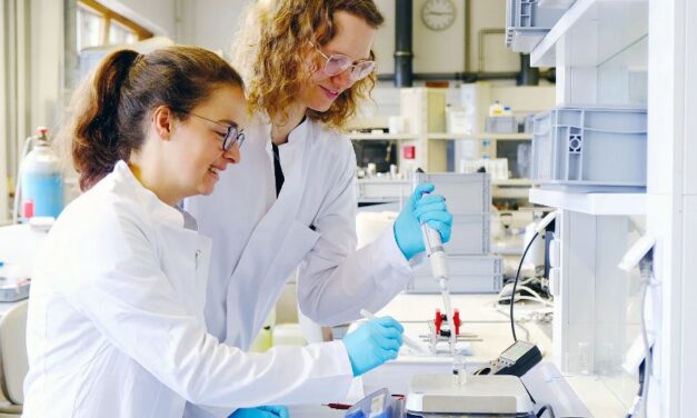 Enhancing Movement Performance: Nature Inspired Hydrogel Soft Robot Muscles