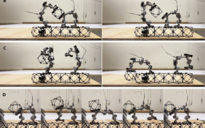 Robots Constructed Lightweight Space Structures