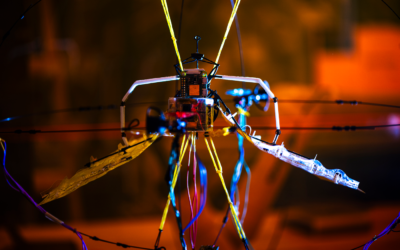 Aerobat, the Bat-Inspired Robot for Confined Spaces