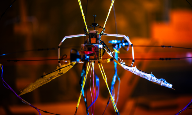 Aerobat, the Bat-Inspired Robot for Confined Spaces