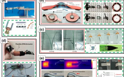 Beyond Human Touch: Soft Robotics Redefine Environmental Interaction for Advanced Applications